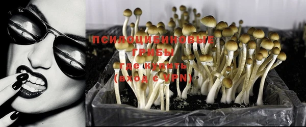 герыч Магадан