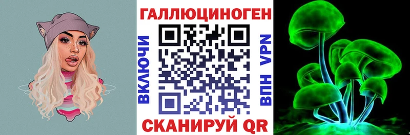 Галлюциногенные грибы Psilocybine cubensis  Подпорожье 